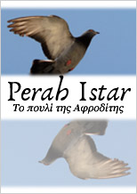 Perah Istar